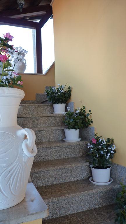 Affittacamere Stranamore Frascati Extérieur photo